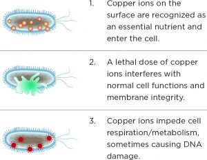 how copper ions kill bacteria on door hardware
